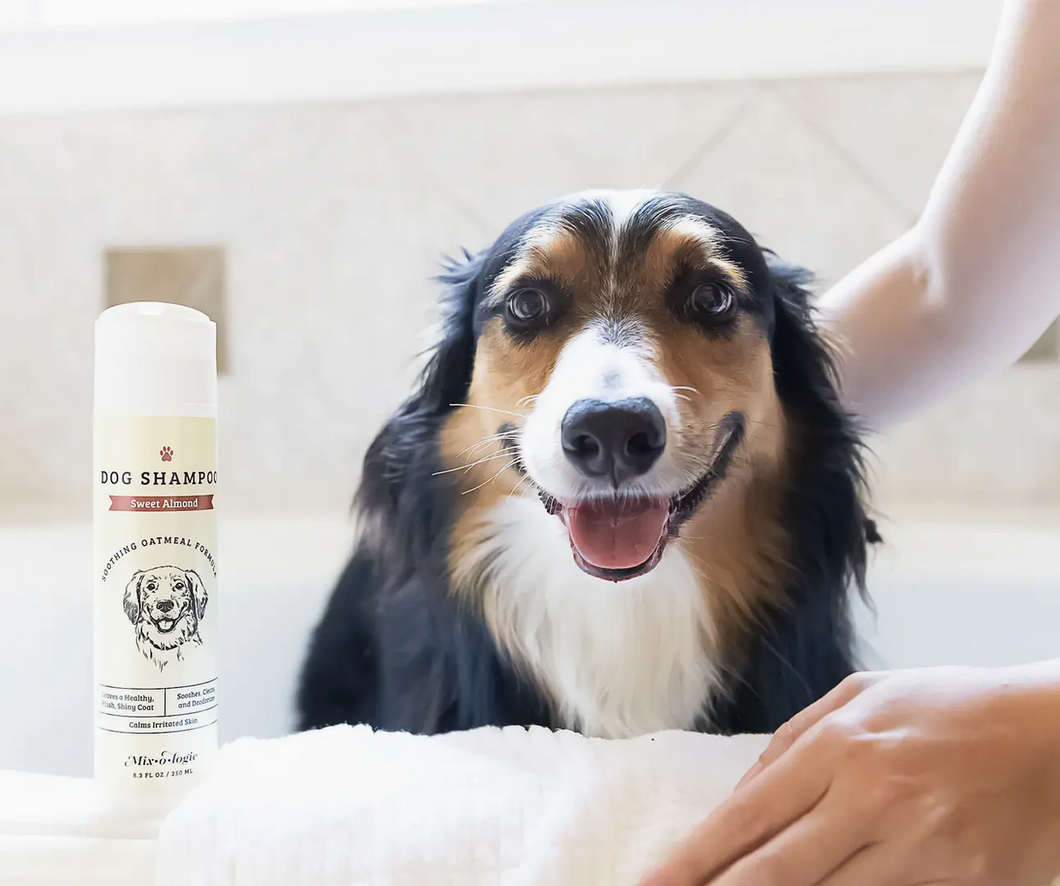 Soothing Dog Shampoo