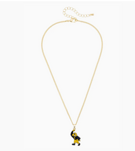 Load image into Gallery viewer, Iowa Hawkeyes Enamel Icon Necklace